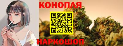 сатива Гулькевичи