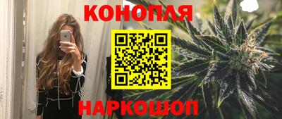 прущие крисы Гудермес