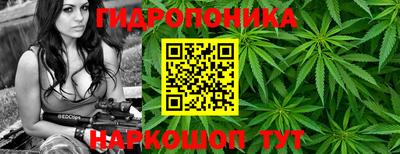 прущие крисы Гудермес