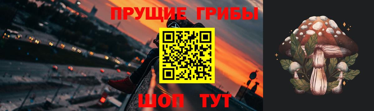 Ивантеевка  Галлюциногенные грибы прущие грибы  Вход с VPN  Галлюциногенные грибы ЛСД 